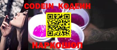 мдпв Камышлов