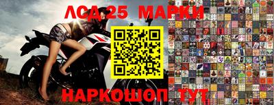 мдпв Камышлов