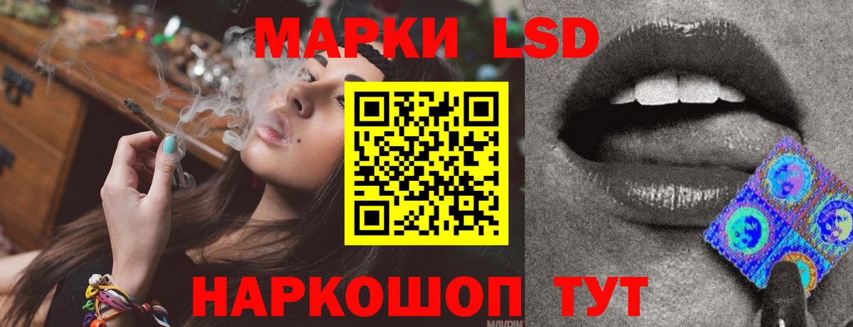 ссылка на мегу зеркало  Вход с VPN  Кузнецк  Лсд 25 экстази ecstasy  ЛСД экстази ecstasy  ЛСД экстази 