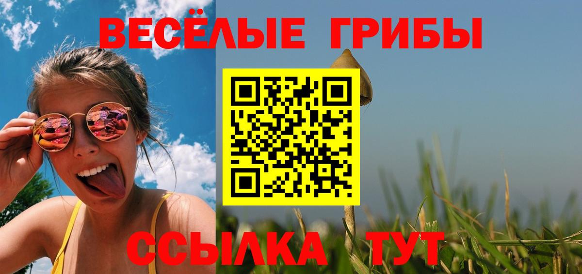 Псилоцибиновые грибы ЛСД Кузнецк