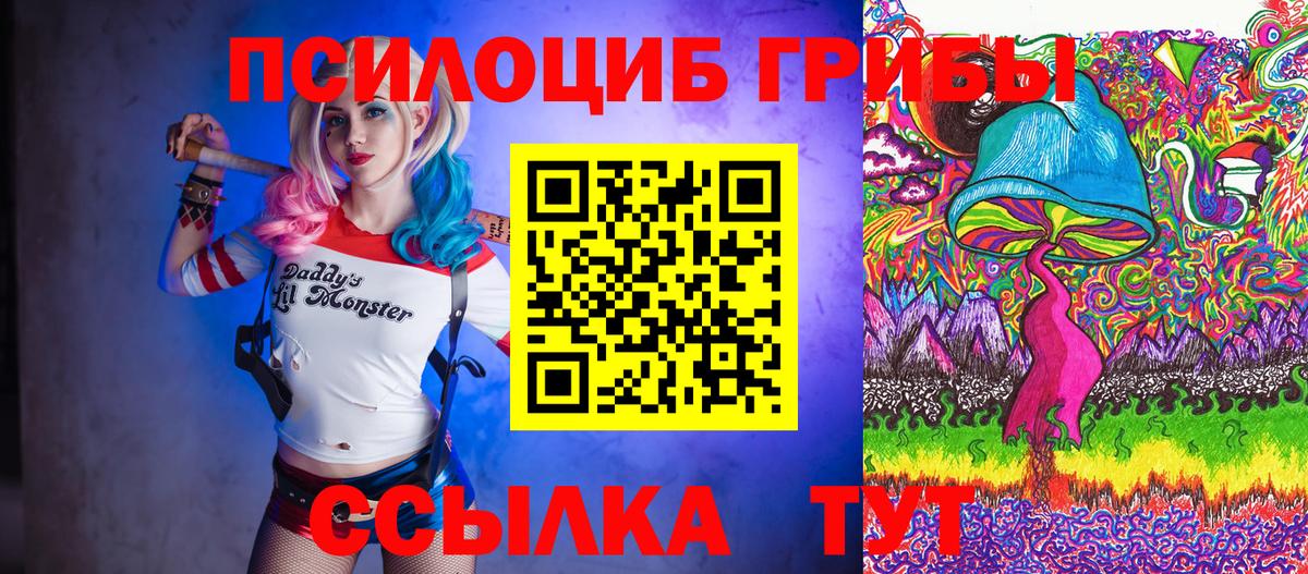 Галлюциногенные грибы Psilocybine cubensis  Вход с VPN  Псилоцибиновые грибы прущие грибы  Кузнецк 